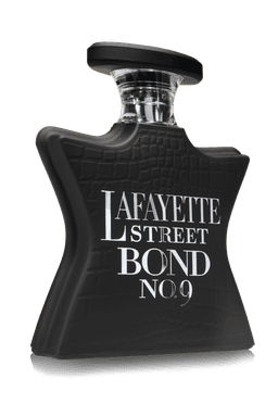 LAFAYETTE STREET