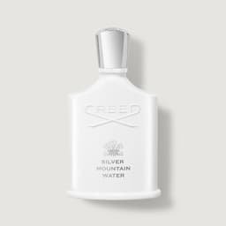 Silver Mountain Water