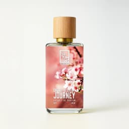 Cherry Blossom Journey