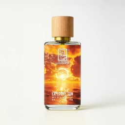 Explosive Sun
