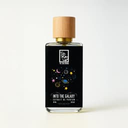 Into The Galaxy