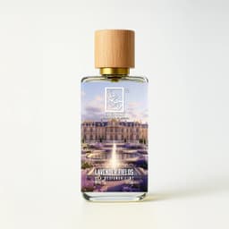 Lavender Fields