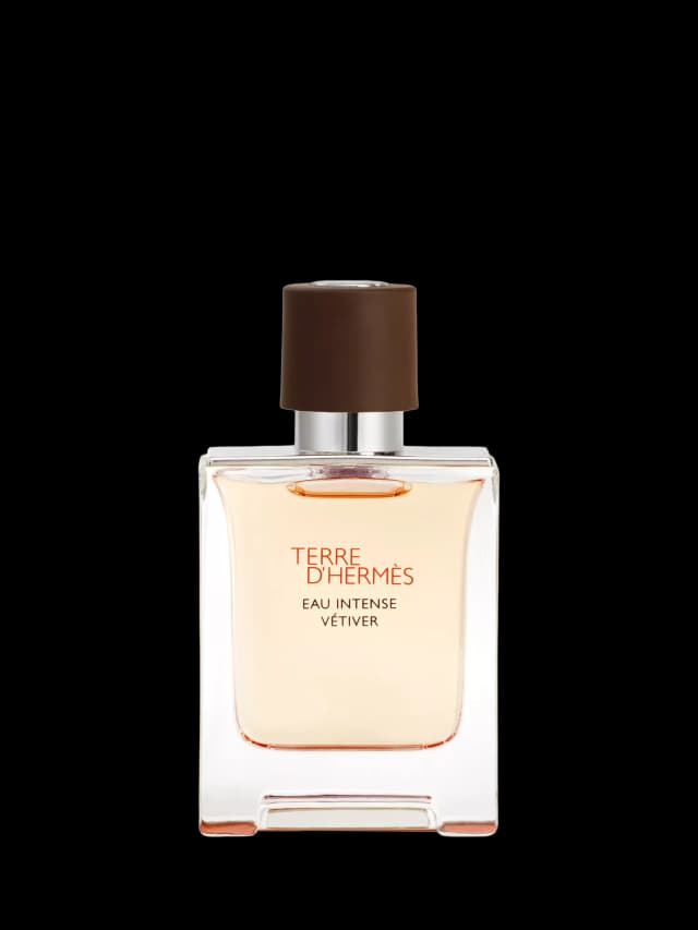 Hermès Terre d'Hermès Eau Intense Vétiver