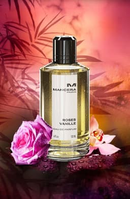 ROSES VANILLE