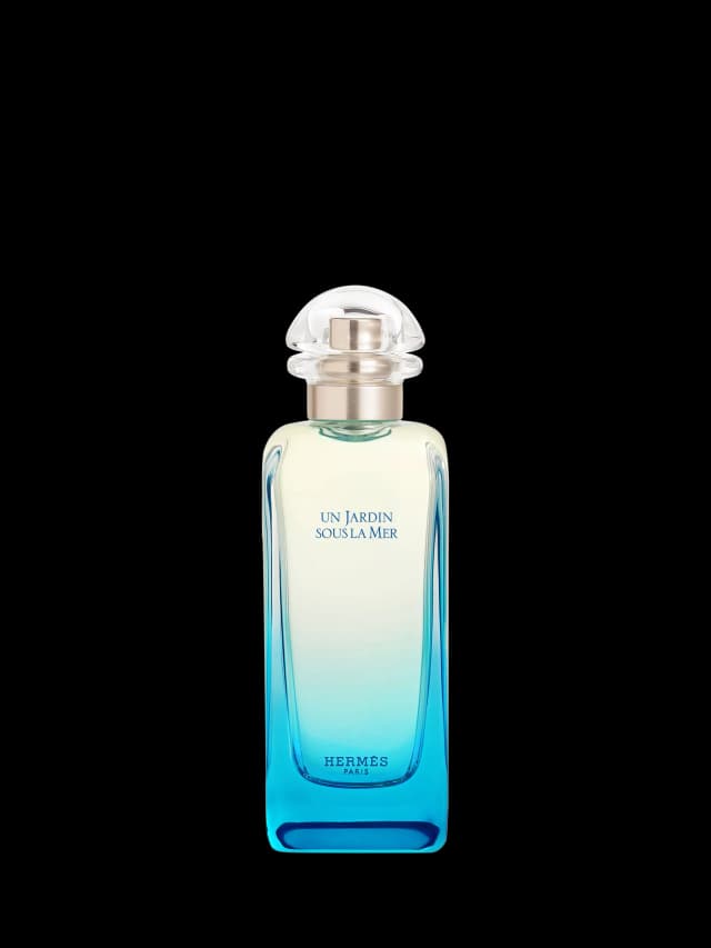 Hermès Un Jardin sous la Mer